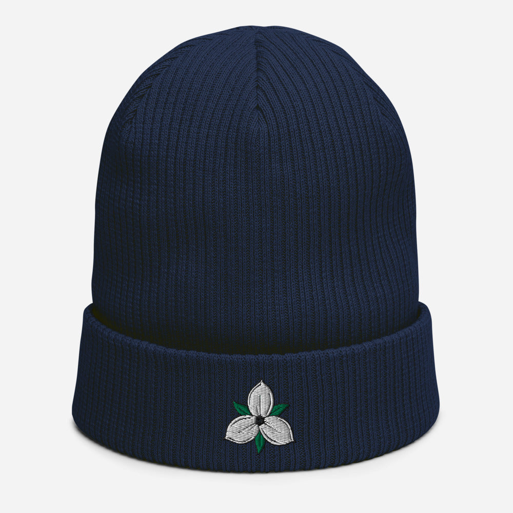 TRILLIUM Organic ribbed beanie blue